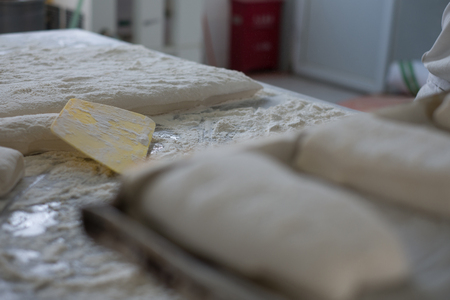 A flat of Ciabatta bread dough flat with a yellow cutter and a tray of individual cut bread rolls.の写真素材