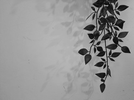 Leaves hanging on the wall create a photo with copy space or negative space to use as your template.