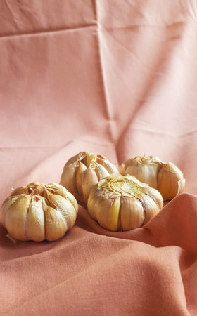 This is a photo of some cloves of garlic placed on a pink cloth.の写真素材