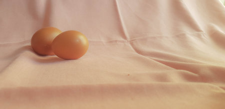 This is a photo of three eggs next to each other on a pink background.This is a photo of three eggs next to each other on a pink background.の写真素材