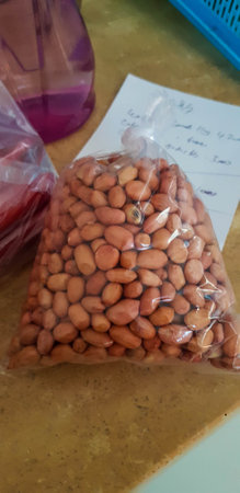 A packet of peanuts wrapped in plastic per quarter kilogram, usually sold in small stalls or in markets in Indonesia.の写真素材
