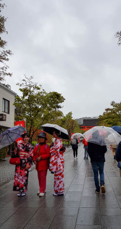 Kyoto, Japan on April 8, 2019. People are walking while using umbrellas because it is raining. It's the transition season to spring in Kyoto, but the cherry blossoms are still in bloom.のeditorial素材