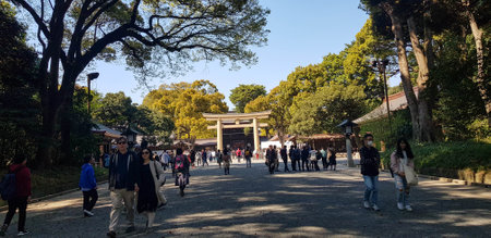 Japan on April 2019. Tourists walking at the entrance of the Harajuku City Forest heading to Meiji Shrine. Meiji Shrine is famous for its Yoyogi Park and Harajuku City Forest.のeditorial素材