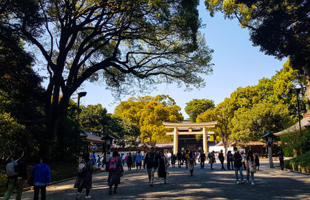 Japan on April 2019. Tourists walking at the entrance of the Harajuku City Forest heading to Meiji Shrine. Meiji Shrine is famous for its Yoyogi Park and Harajuku City Forest.のeditorial素材