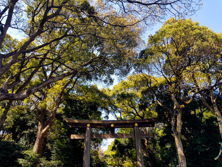 Torii Gate standing at the entrance to Meiji Jingu Shrine, Tokyo. Meiji Shrine is famous for its gardens and urban forest. One of the largest urban forests in tokyo, also known as the Harajuku Urban Forest.のeditorial素材