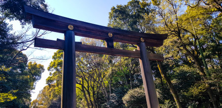 Torii Gate standing at the entrance to Meiji Jingu Shrine, Tokyo. Meiji Shrine is famous for its gardens and urban forest. One of the largest urban forests in tokyo, also known as the Harajuku Urban Forest.のeditorial素材