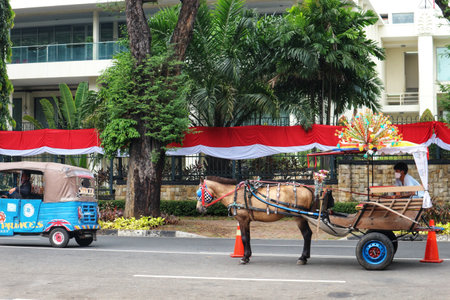 Jakarta, Indonesia in August 2022. Dokar or Andong which is a passenger carriage, is parked in front of the bull field to wait for tourists. With a thick Betawi and Indonesian accent.のeditorial素材