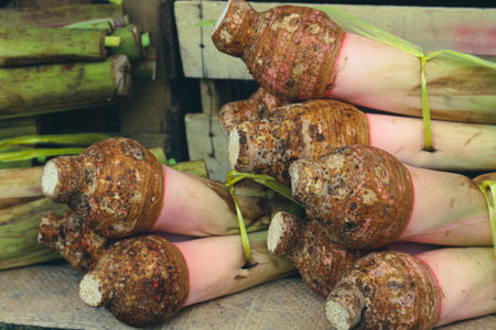 Taro is a type of tuber that has the Latin name Colocasia esculenta. This is a plant that can be made into a variety of delicious-tasting foods, from cakes, chips, compote, bubble tea, to mixed ice.の写真素材