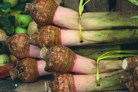 Taro is a type of tuber that has the Latin name Colocasia esculenta. This is a plant that can be...