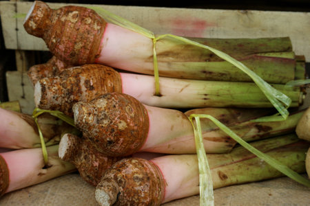 Taro is a type of tuber that has the Latin name Colocasia esculenta. This is a plant that can be made into a variety of delicious-tasting foods, from cakes, chips, compote, bubble tea, to mixed ice.の写真素材