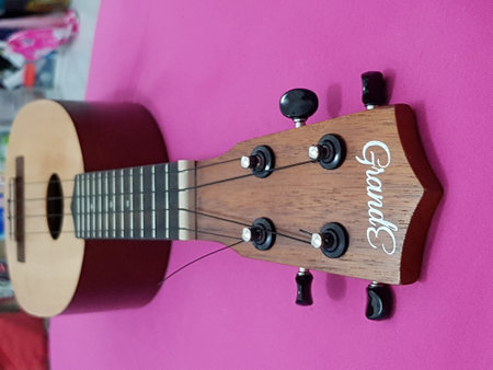 Jakarta, Indonesia in April 2022. This dark brown ukulele by the brand My Leho has good quality and a loud and melodious sound. It is very suitable for releasing stress.の写真素材
