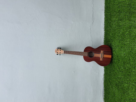 Jakarta, Indonesia in April 2022. This dark brown ukulele by the brand My Leho has good quality and a loud and melodious sound. It is very suitable for releasing stress.の写真素材