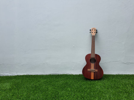 Jakarta, Indonesia in April 2022. This dark brown ukulele by the brand My Leho has good quality and a loud and melodious sound. It is very suitable for releasing stress.のeditorial素材