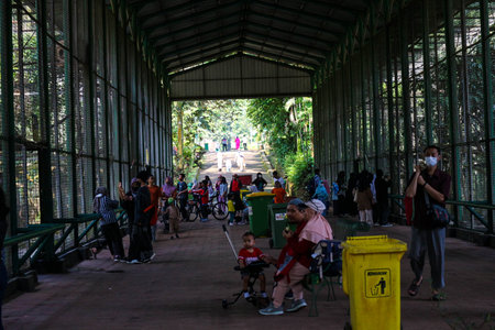 Jakarta, Indonesia in December 2022. The Zoo in Ragunan is one of the favorite places for small and large families which is very crowded during holidays. In this place children can get to know various kinds of animals.のeditorial素材