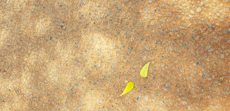 Background photo of several yellow leaves scattered on brown ground. It is perfect for your template.の写真素材