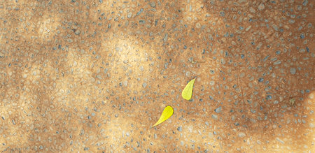 Background photo of several yellow leaves scattered on brown ground. It is perfect for your template.の写真素材