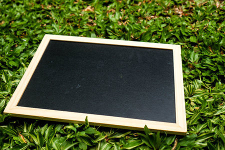 A small black blackboard with a wooden frame sits on the green grass. Suitable for your template related to education in the environmental field.の写真素材
