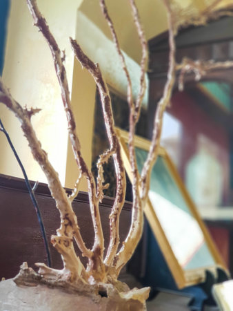 A dried log used as a room decoration. Painted with light brown color.の写真素材