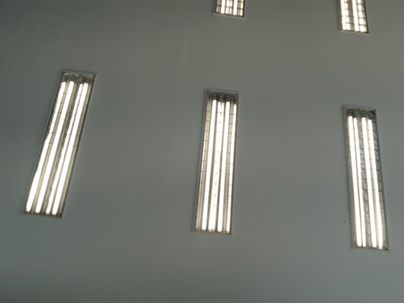 Neon lights that illuminate the room of an office. Lined up so that the room will be very bright when turned on.の写真素材