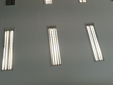 Neon lights that illuminate the room of an office. Lined up so that the room will be very bright when turned on.の写真素材