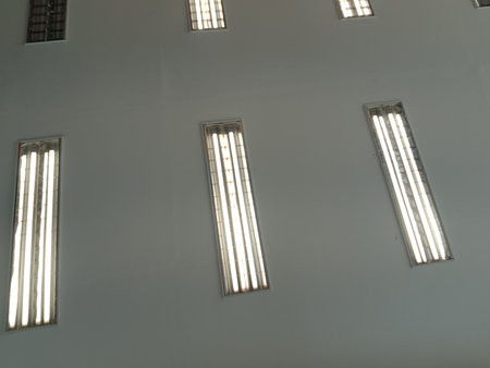 Neon lights that illuminate the room of an office. Lined up so that the room will be very bright when turned on.の写真素材