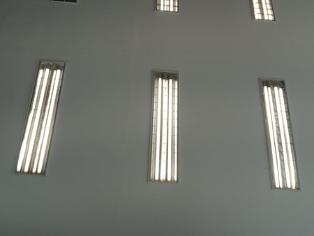 Neon lights that illuminate the room of an office. Lined up so that the room will be very bright when turned on.の写真素材