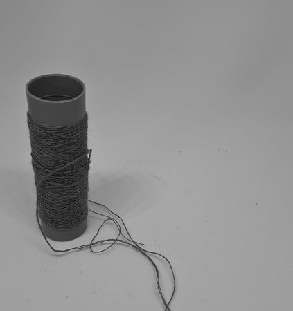 Black and white and Isolated white photo of a sewing thread. With copy space.の写真素材