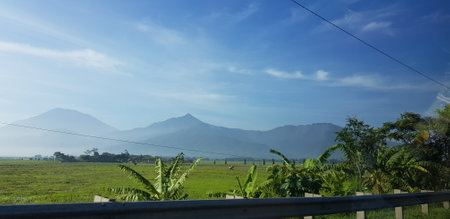 A view of green rice fields and gardens with blue sky and white clouds. You can see the silhouette of a mountain behind him. This view is the view when on the way to Yogyakarta.の写真素材