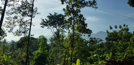 A view of green rice fields and gardens with blue sky and white clouds. You can see the silhouette of a mountain behind him. This view is the view when on the way to Yogyakarta.の写真素材