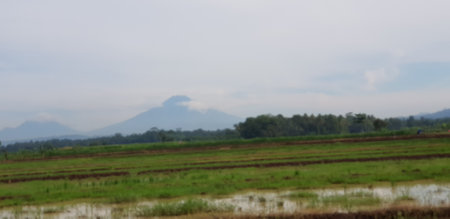 A view of green rice fields and gardens with blue sky and white clouds. You can see the silhouette of a mountain behind him. This view is the view when on the way to Yogyakarta.の写真素材