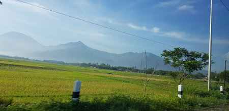 A view of green rice fields and gardens with blue sky and white clouds. You can see the silhouette of a mountain behind him. This view is the view when on the way to Yogyakarta.の写真素材