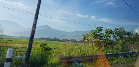 A view of green rice fields and gardens with blue sky and white clouds. You can see the silhouette of a mountain behind him. This view is the view when on the way to Yogyakarta.の写真素材