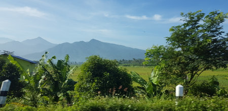 A view of green rice fields and gardens with blue sky and white clouds. You can see the silhouette of a mountain behind him. This view is the view when on the way to Yogyakarta.の写真素材