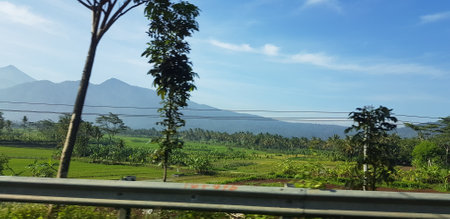 A view of green rice fields and gardens with blue sky and white clouds. You can see the silhouette of a mountain behind him. This view is the view when on the way to Yogyakarta.の写真素材