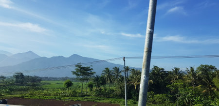 A view of green rice fields and gardens with blue sky and white clouds. You can see the silhouette of a mountain behind him. This view is the view when on the way to Yogyakarta.の写真素材