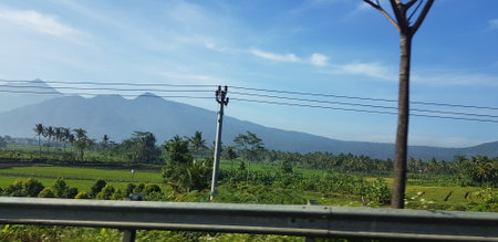 A view of green rice fields and gardens with blue sky and white clouds. You can see the silhouette of a mountain behind him. This view is the view when on the way to Yogyakarta.の写真素材
