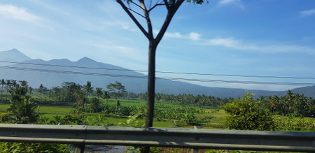 A view of green rice fields and gardens with blue sky and white clouds. You can see the silhouette of a mountain behind him. This view is the view when on the way to Yogyakarta.の写真素材