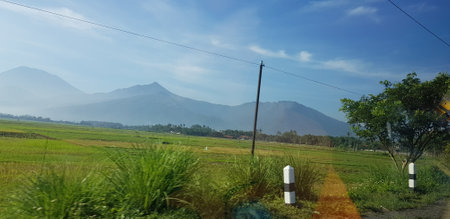 A view of green rice fields and gardens with blue sky and white clouds. You can see the silhouette of a mountain behind him. This view is the view when on the way to Yogyakarta.の写真素材