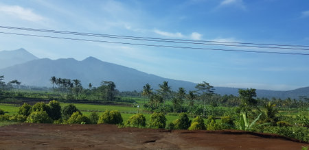 A view of green rice fields and gardens with blue sky and white clouds. You can see the silhouette of a mountain behind him. This view is the view when on the way to Yogyakarta.の写真素材
