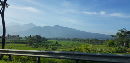 A view of green rice fields and gardens with blue sky and white clouds. You can see the silhouette of a mountain behind him. This view is the view when on the way to Yogyakarta.の写真素材