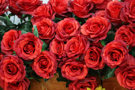Plastic red roses, suitable for home decoration. No need for maintenance, just need to be cleaned of dust a few times a month.の写真素材
