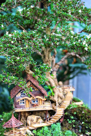Discover a whimsical miniature house nestled within a vibrant bonsai tree, creating a tranquil and enchanting scene. Tiny white blossoms add to the magical atmosphere.の写真素材