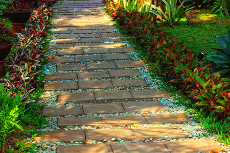A sun-drenched stone path winds through vibrant tropical plants, creating a serene and inviting garden scene.  The warm light casts gentle shadows, enhancing the natural beauty.の写真素材