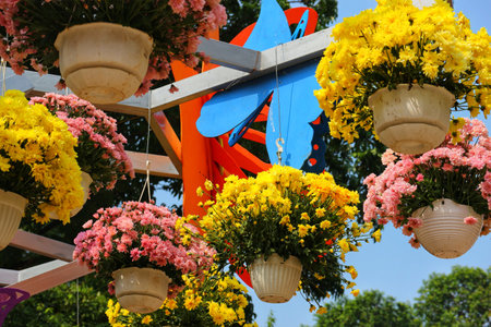Sunshine illuminates colorful blooms in hanging baskets, creating a cheerful and vibrant outdoor scene.  Butterflies add whimsy!の写真素材