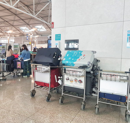 Seoul, South Korea on 13 Nov 2024. Incheon International Airport. Luggage carts overflow with bags at a calm airport. A cheerful suitcase stands out among the others, creating a peaceful yet anticipatory atmosphere.の写真素材
