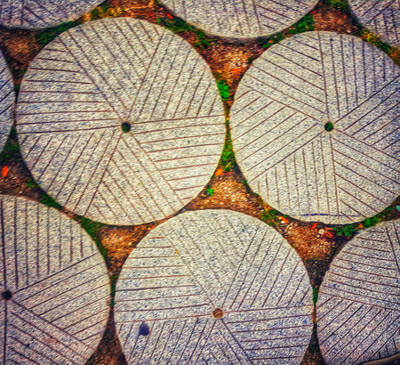 A captivating view of weathered granite circles, intricately patterned and nestled in earthy soil. The scene evokes a rustic, serene atmosphere.の写真素材