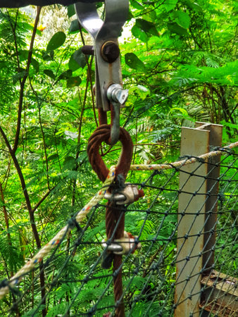 Close-up of rusty cable and safety netting against a lush green jungle backdrop. Perfect for adventure travel or industrial safety blogs.の写真素材