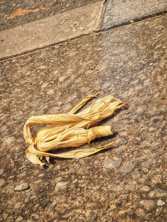 Sunlit dried corn husk rests on a textured concrete surface creating an earthy and somewhat desolate...