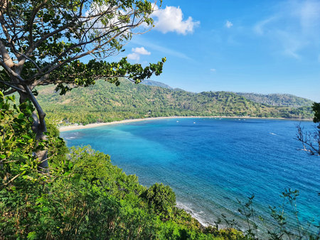 Scenic tropical beach resort featuring vibrant blue ocean and lush coastline scenery perfect for travel and summer vacation concepts.の写真素材