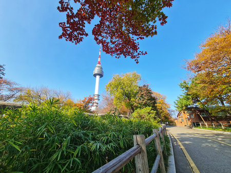 Seoul, South Korea on 11 Nov 2024. Tall silver tower rises above vibrant green foliage and colorful autumn trees under a clear blue sky, creating a peaceful atmosphere, perfect for travel and tourism marketing.のeditorial素材
